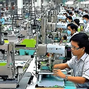 Artistic representation for More R & D needed to boost sustainable production : experts