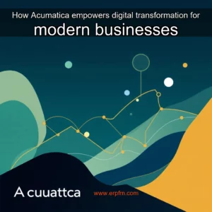 Artistic representation for How Acumatica empowers digital transformation for modern businesses