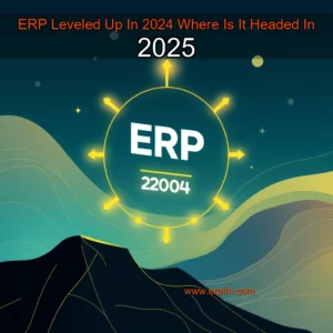 Artistic representation for ERP Leveled Up In 2024 Where Is It Headed In 2025