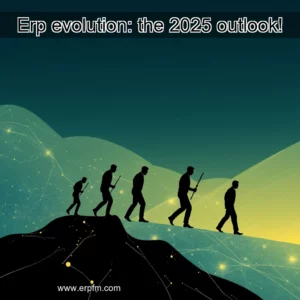 Artistic representation for Erp evolution: the 2025 outlook!