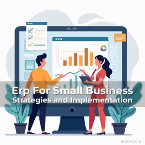 Artistic representation for Erp For Small Business Strategies and Implementation