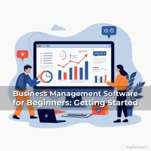 Artistic representation for Business Management Software for Beginners: Getting Started