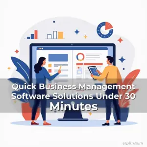 Artistic representation for Quick Business Management Software Solutions Under 30 Minutes