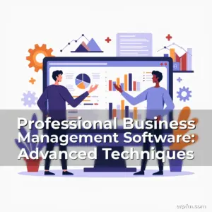 Artistic representation for Professional Business Management Software: Advanced Techniques
