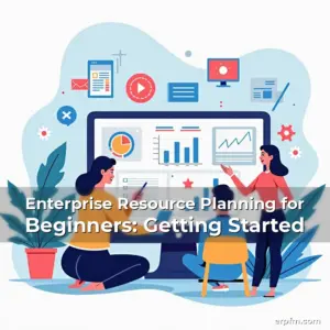 Artistic representation for Enterprise Resource Planning for Beginners: Getting Started
