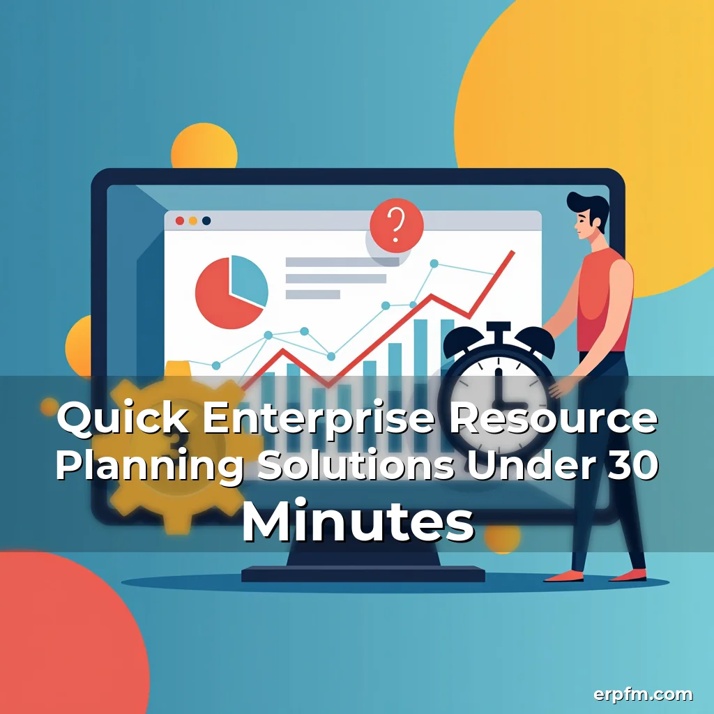 Artistic representation for Quick Enterprise Resource Planning Solutions Under 30 Minutes